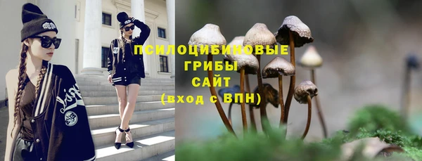 МДМА Лабытнанги