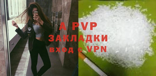 шишки Ладушкин