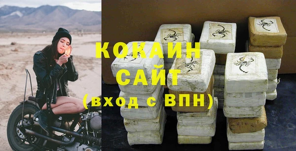 шишки Ладушкин